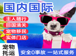 延吉空运公司国际宠物托运 【国
